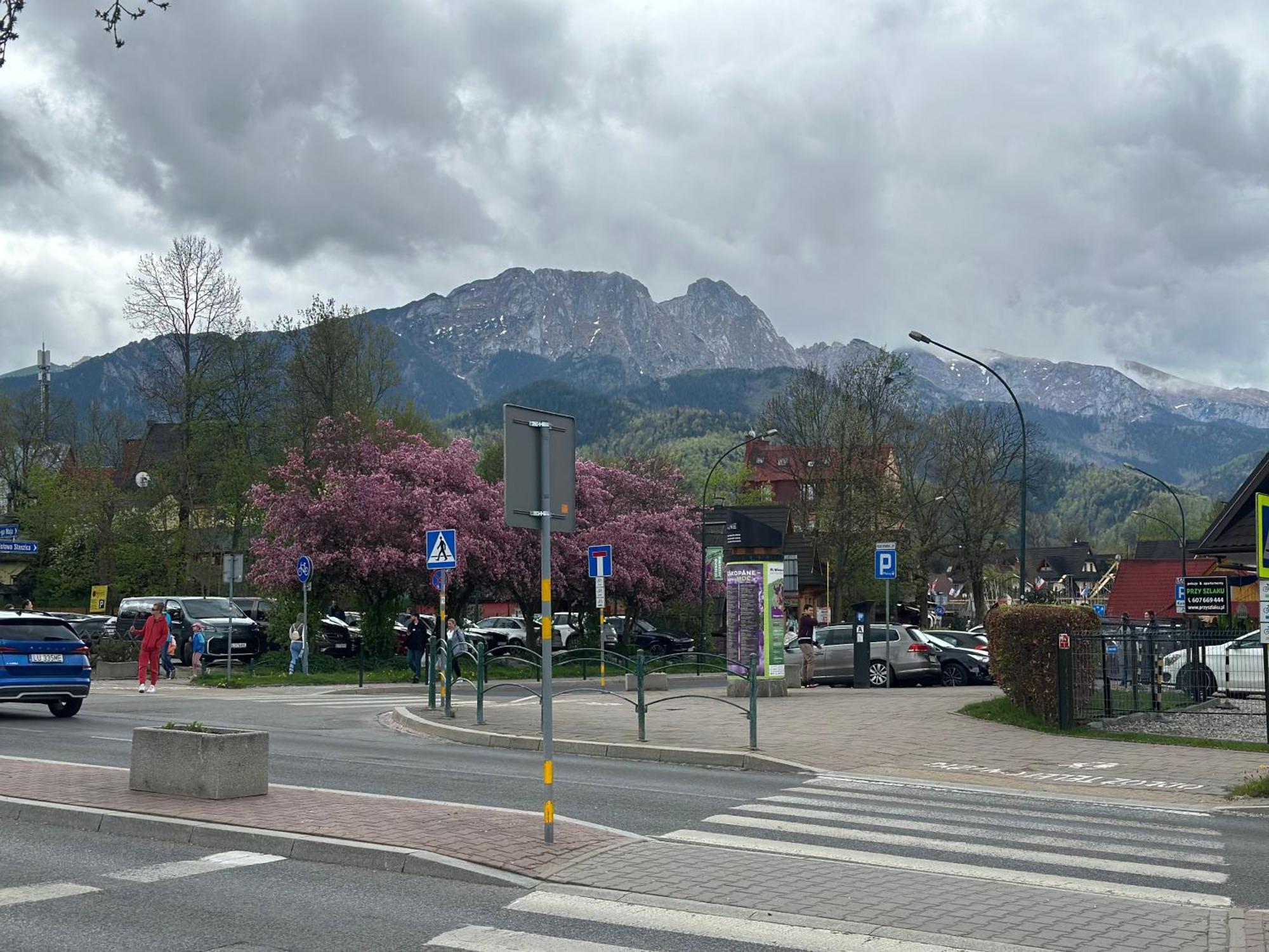 Lesny Dworek Zakopane Bagian luar foto